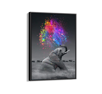 Gray Elephant Painting Rain of Colors