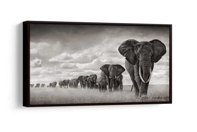 Decorative Elephant Fleet Picture