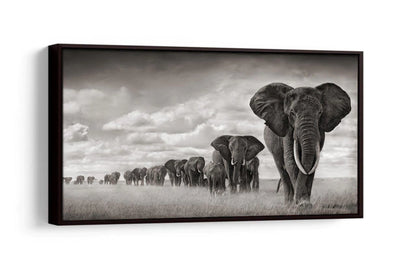 Decorative Elephant Fleet Picture