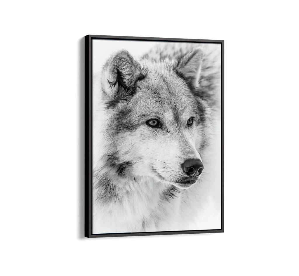 Wolf Pack Leader Painting