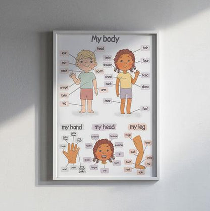 My Body: A Learning Poster