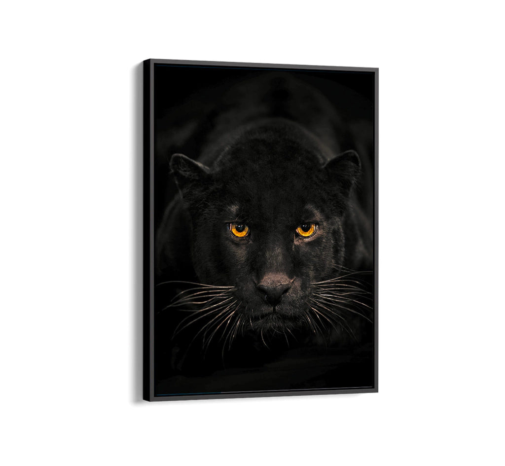 Black Puma Decorative Frame