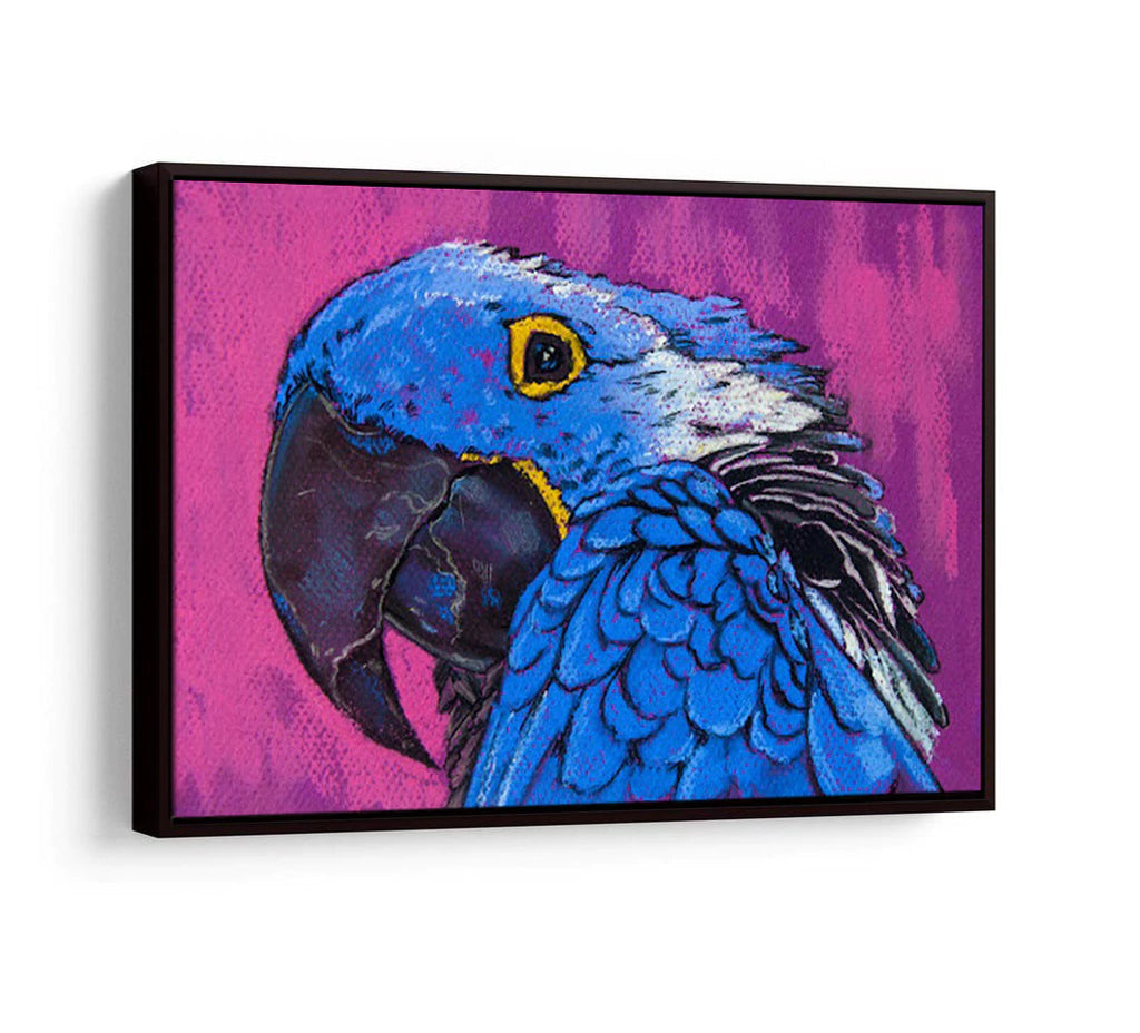 Large Blue Macaw Decorative Frame
